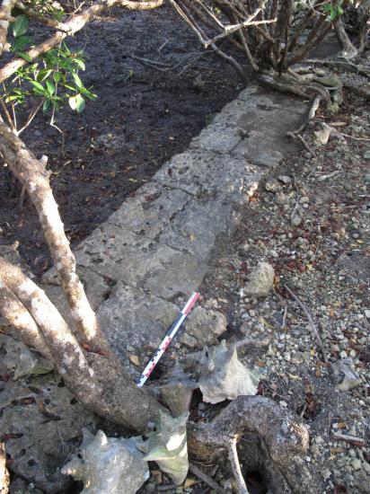 Structure entre mer et mangrove