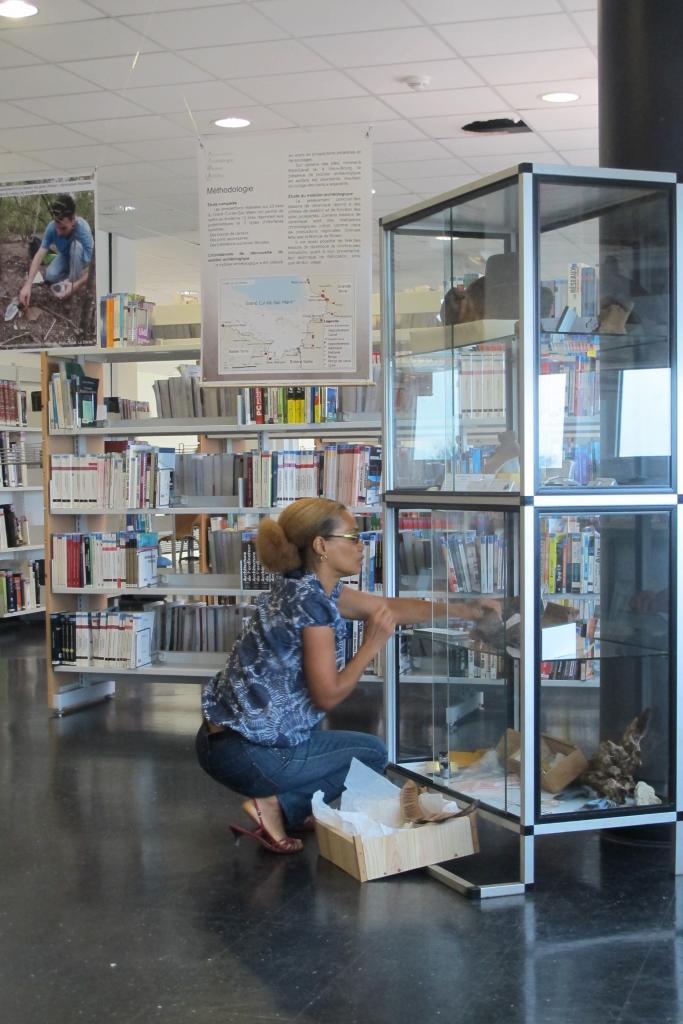 Journées Nationales de l'Archéologie 2012 BU Fouillole