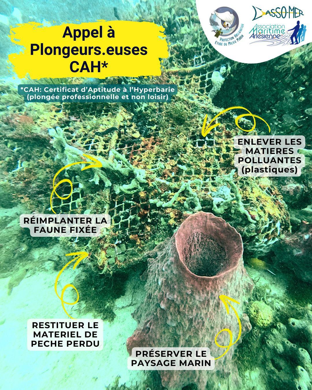 Depollution grande anse