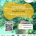 Grande anse 2025