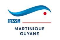 Logo ffesm