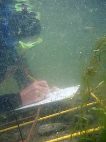 Scale drawing underwater